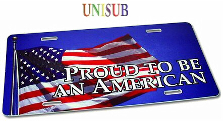 Unisub American style licence plate
