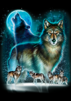 Wolf